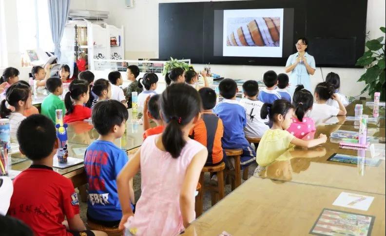 深圳市松崗實驗學校(圖8)