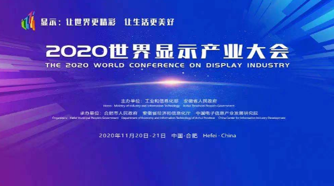 共謀新型顯示產業發展，泛普應邀參加2020世界顯示產業大會(圖2)